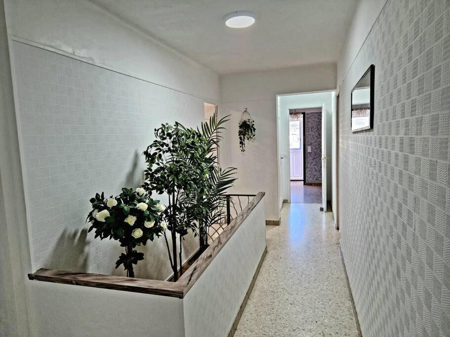 Villa Marseille Dans Les Hauteurs Екстер'єр фото
